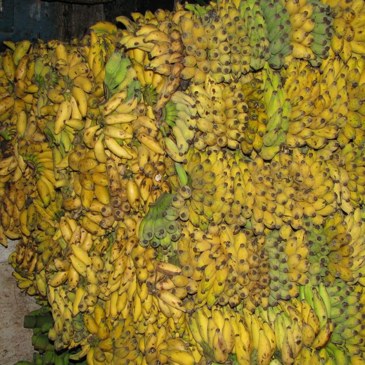 bananstak